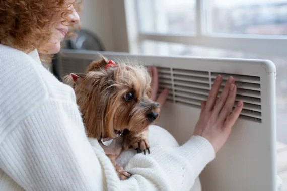 Central air vs Ductless systems